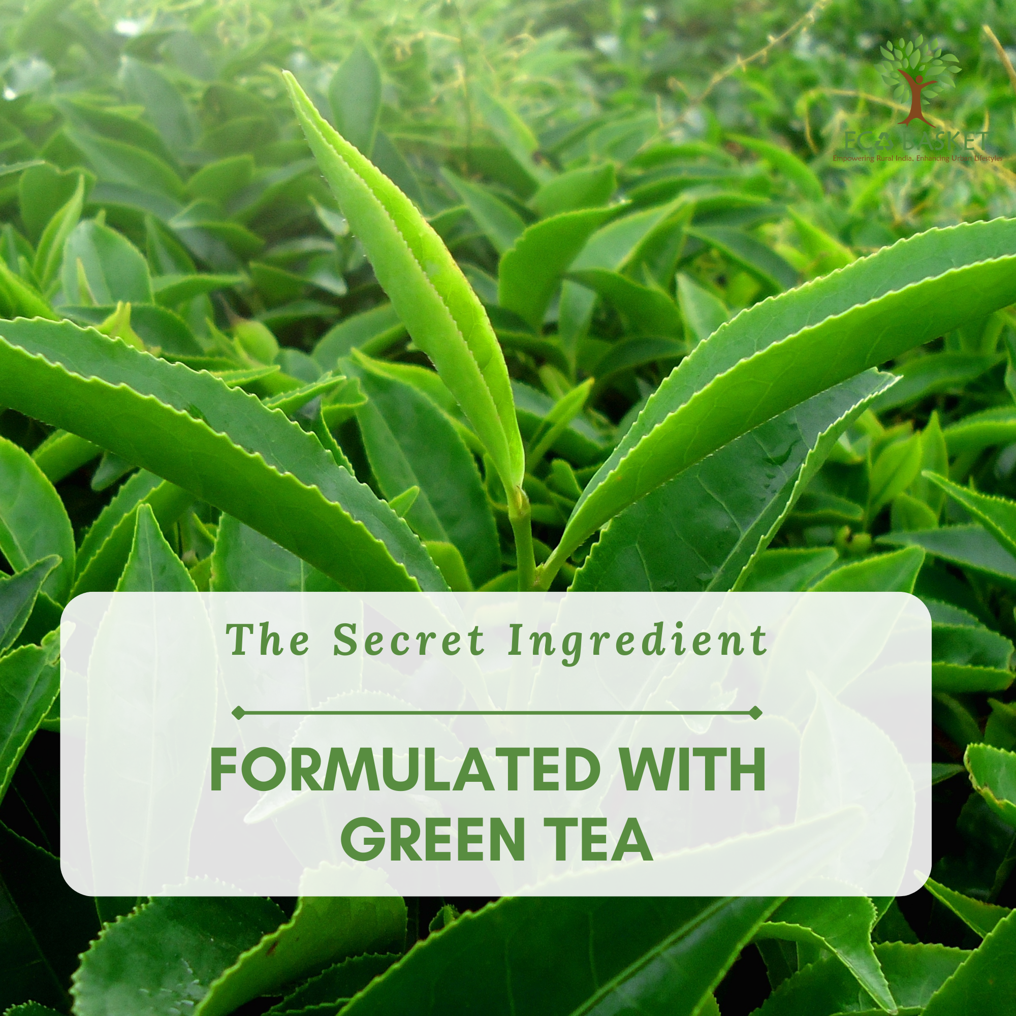 Herbal Green Tea Hand Made Soap