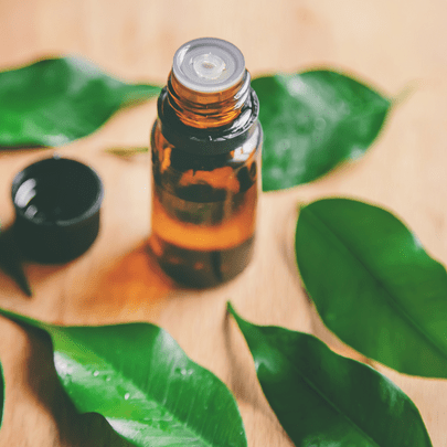 Tea Tree