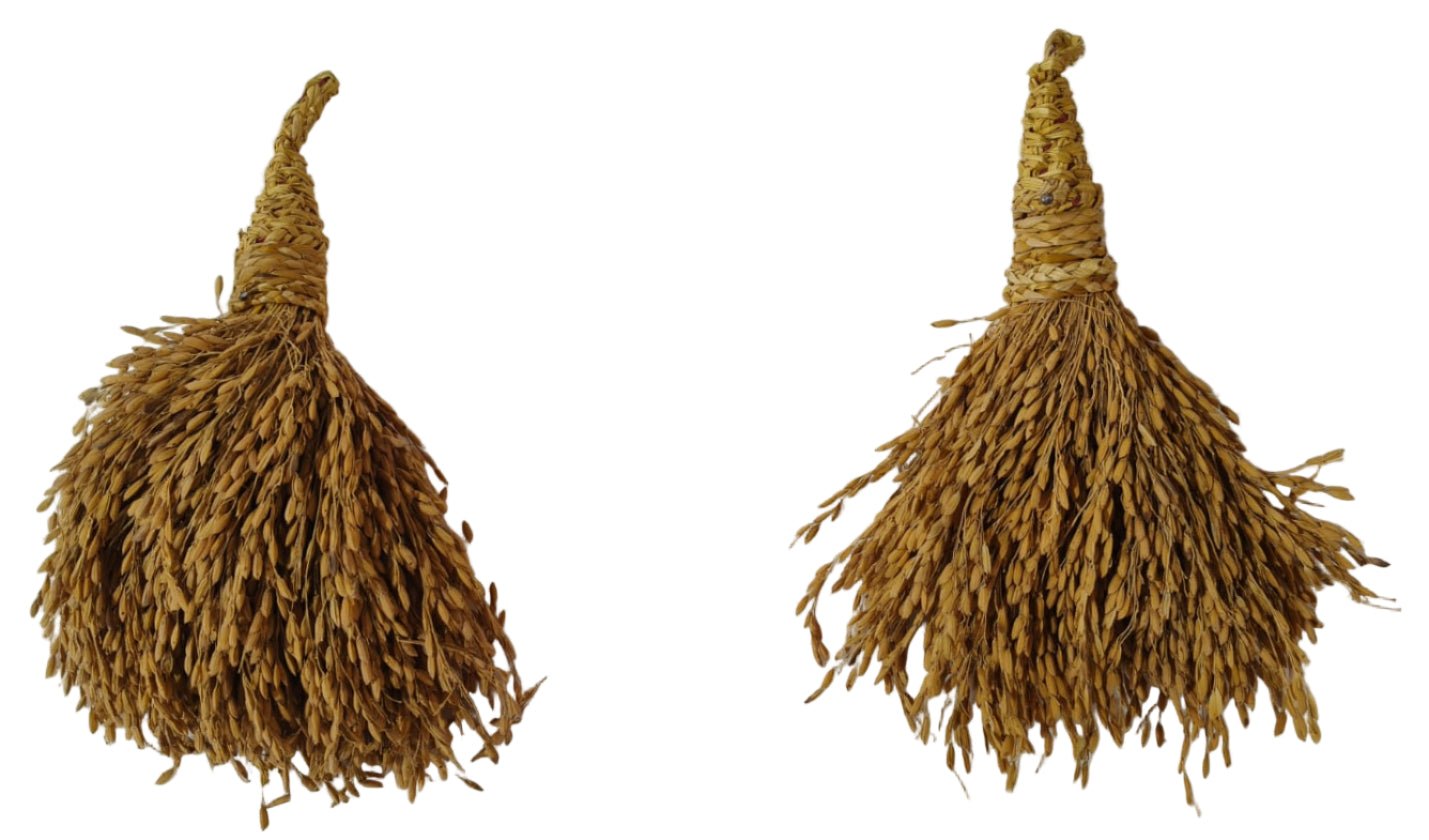 Paddy Side hanging (set of 2) (10 inch) - ECOBASKETINDIA