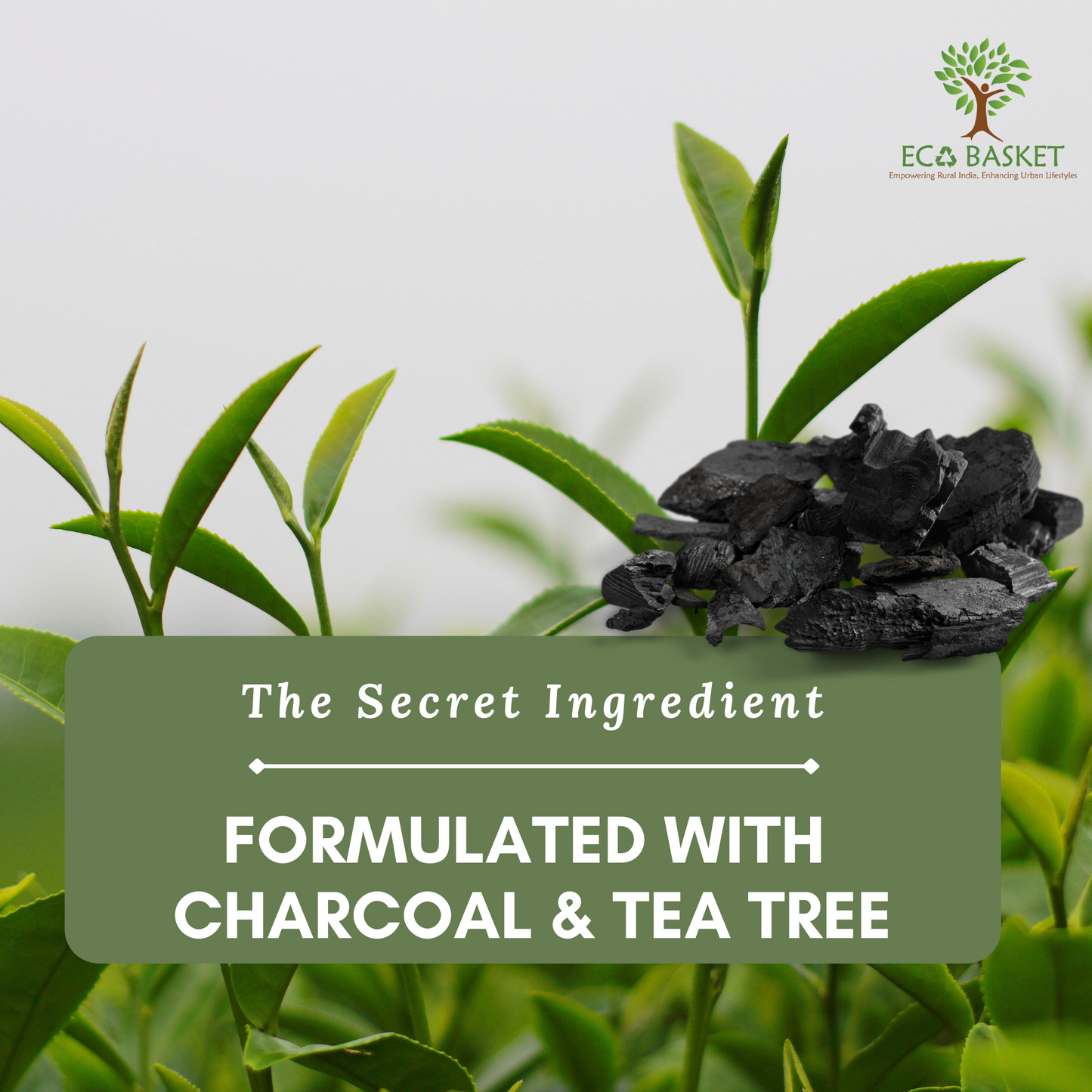 Active Charcoal With Tea Tree Scrub