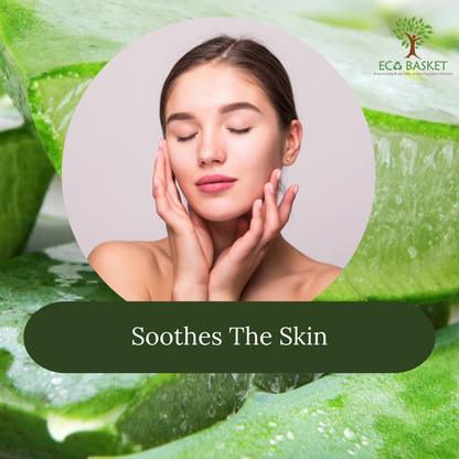 Herbal Aloe Vera Face Pack