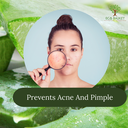 Herbal Aloe Vera Face Pack