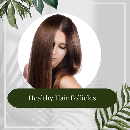 Amla Reetha Shampoo