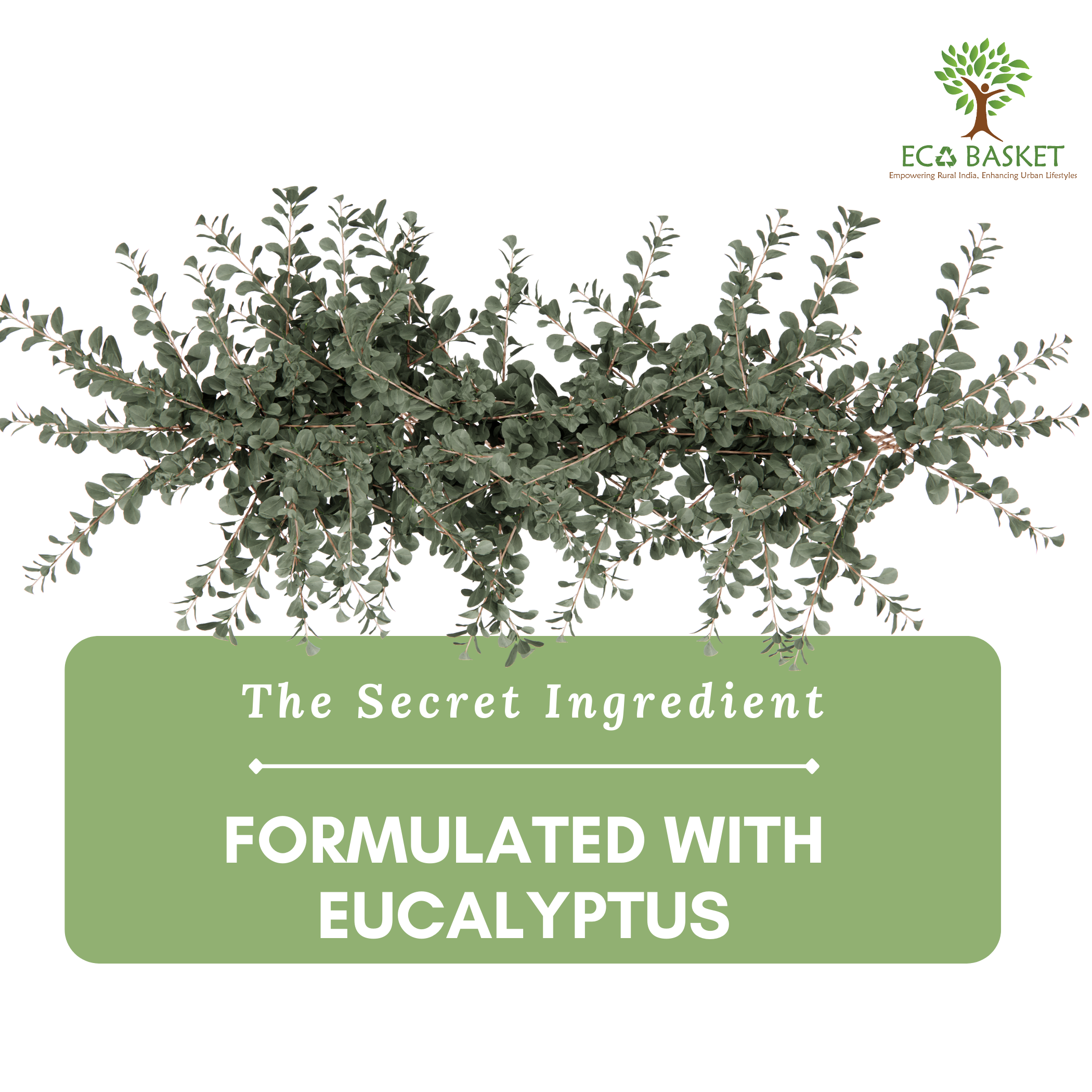 Pure 100% Eucalyptus Essential Oil 15 ml