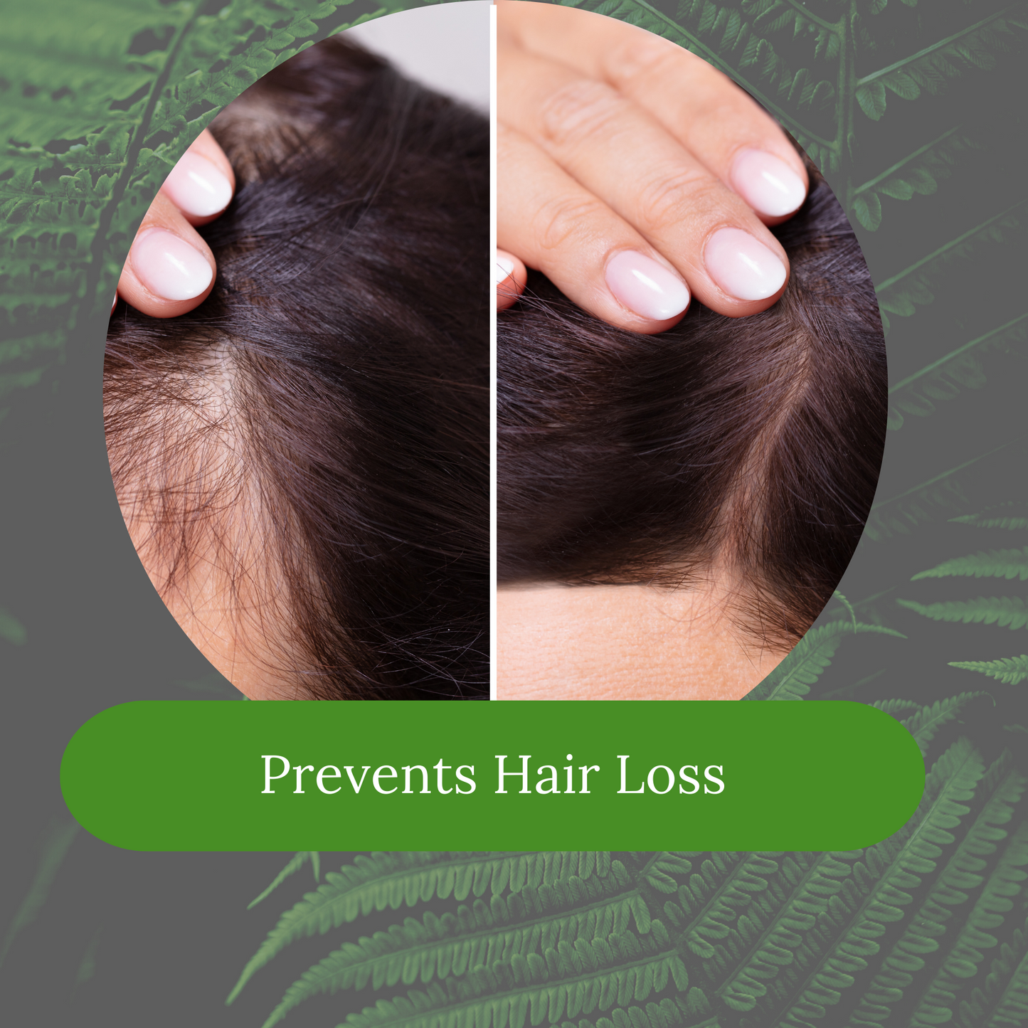 Amla & Bhringraj Shampoo