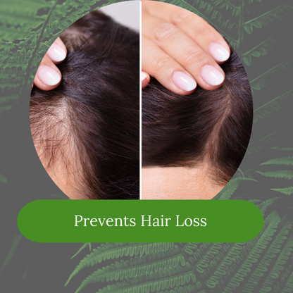 Amla & Bhringraj Shampoo