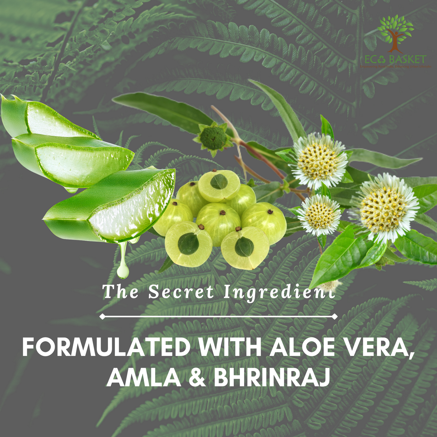 Amla & Bhringraj Shampoo