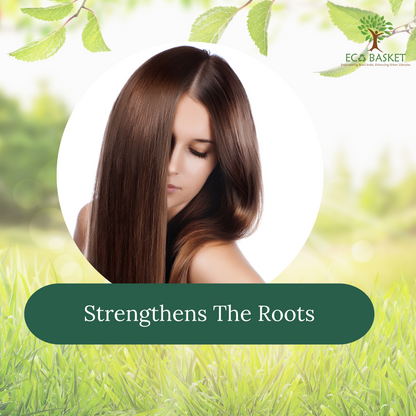 Henna & Tulsi Shampoo