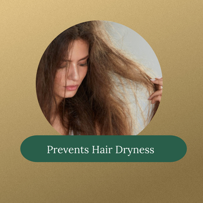 MOROCCAN ARGAN OIL SHAMPOO