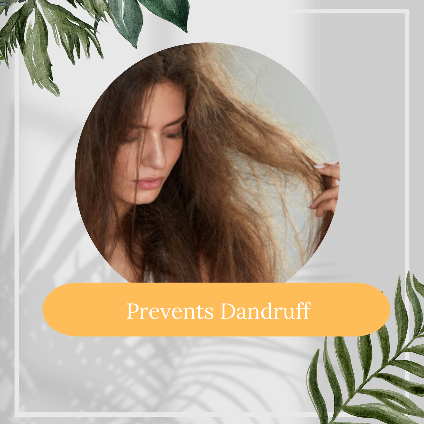 Sandal & Honey Shampoo