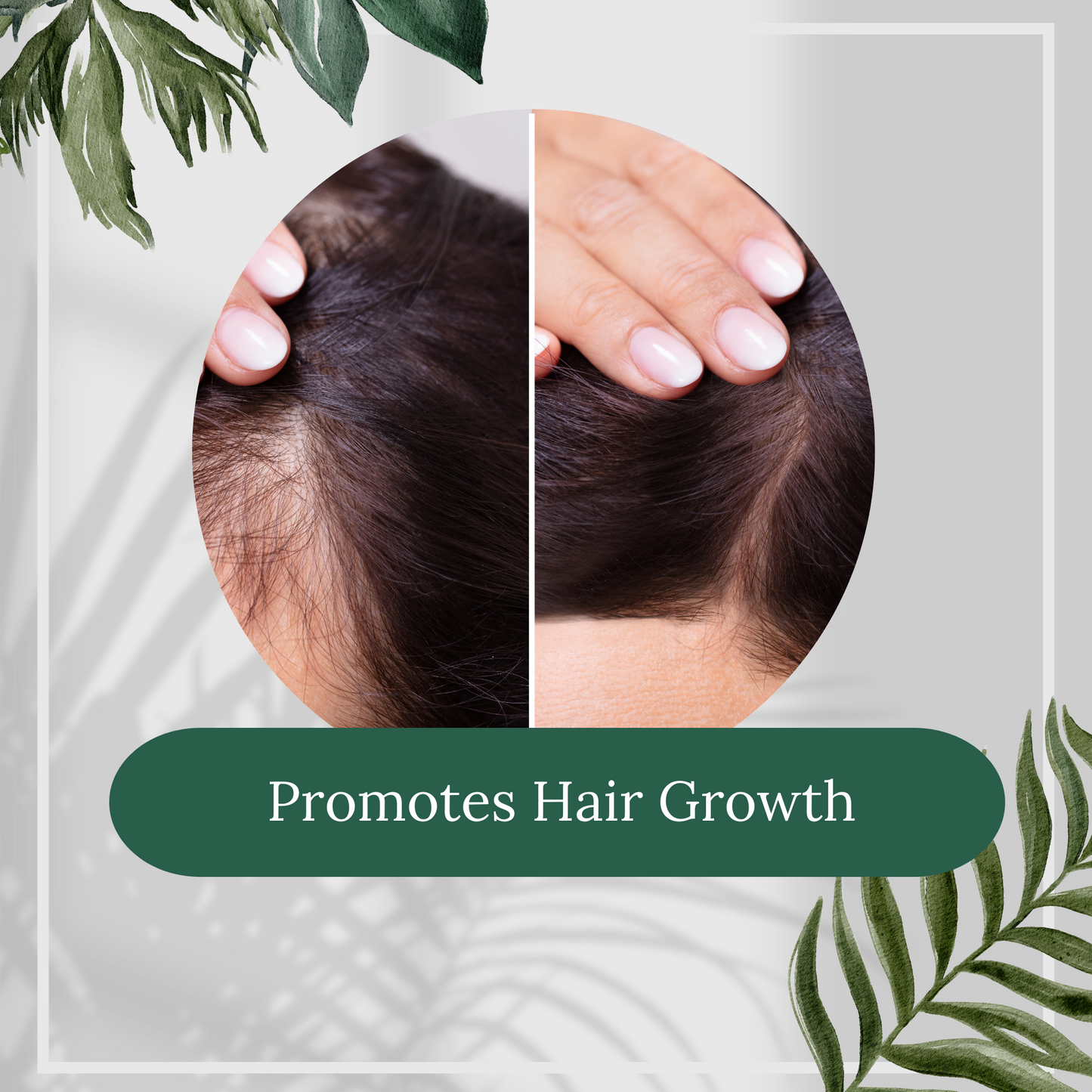Blueberry & Tea Tree Oil Sls Free Shampoo