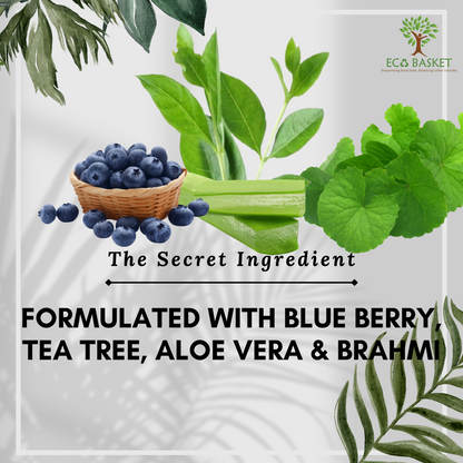 Ayurvedic Blueberry & Tea Tree Oil Sls Free Shampoo